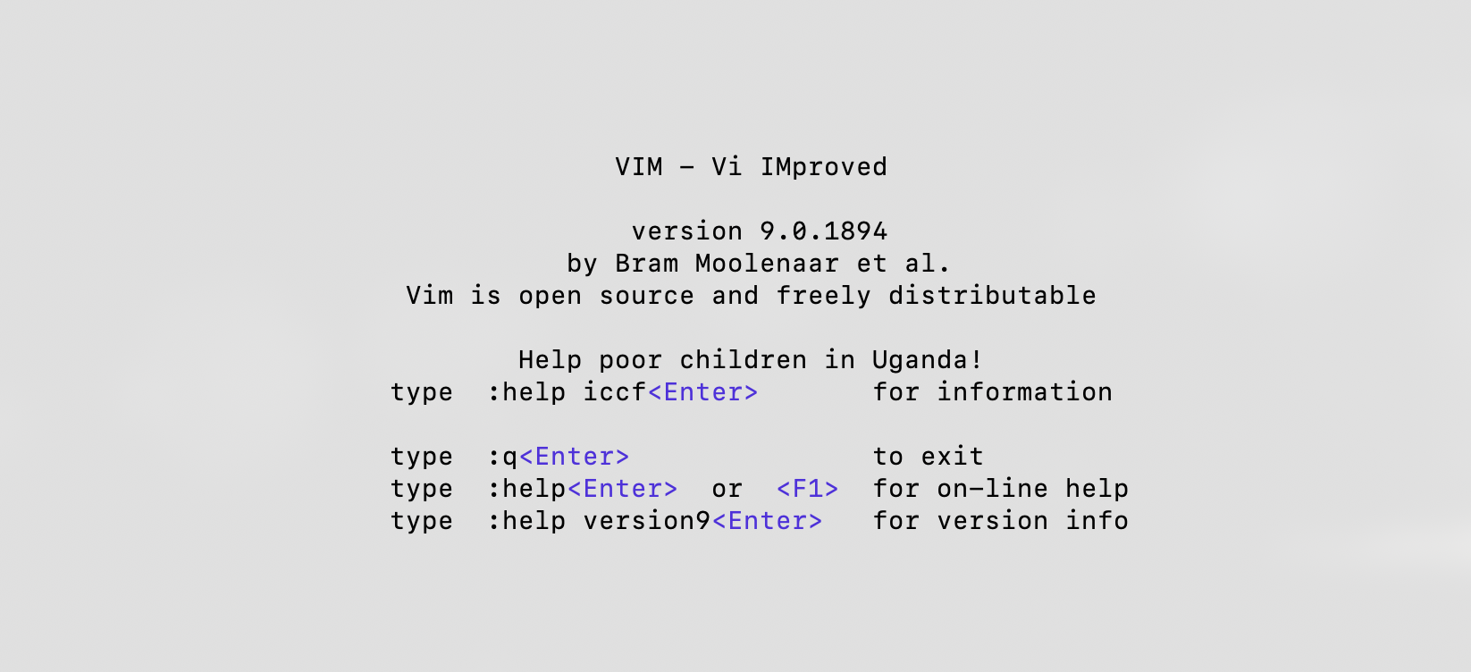 Typing vim in command line output.