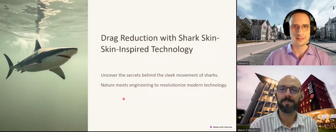 Francesco interview with Prof. D'Alessandro.